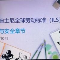 迪士尼召開(kāi)的供應(yīng)商HS大會(huì)，傳達(dá)了哪些新要求？
